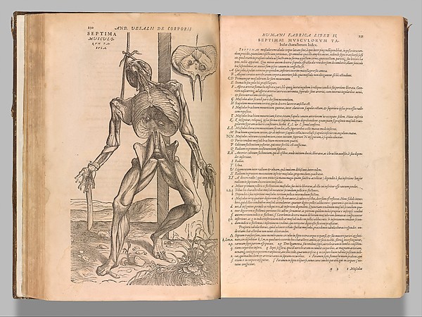 Andreas Vesalius book De humani corporis fabrica